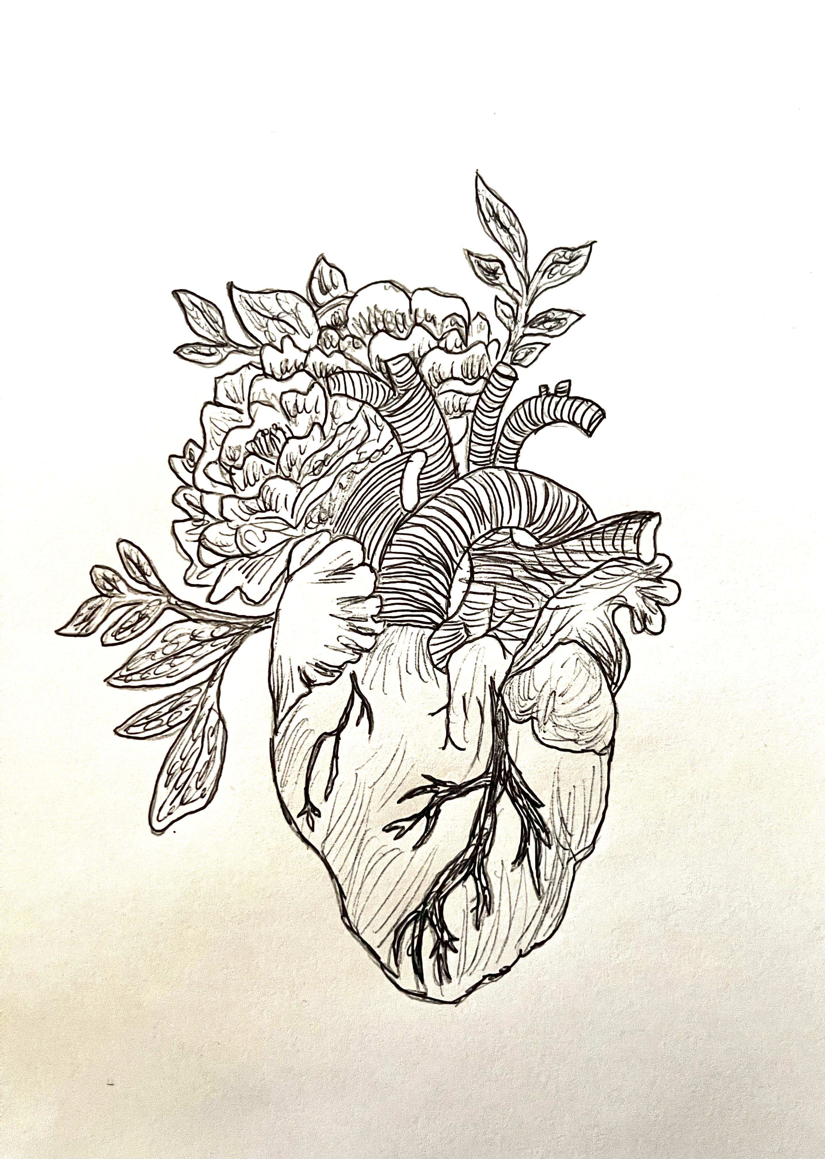 Sketch IV